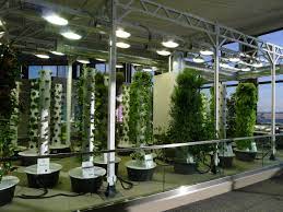 3 Fundamental Types of Grow Lights Used for Indoor Urban Farming