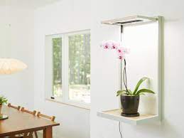 How to Choose the Best Indoor Lighting for Plant Growth