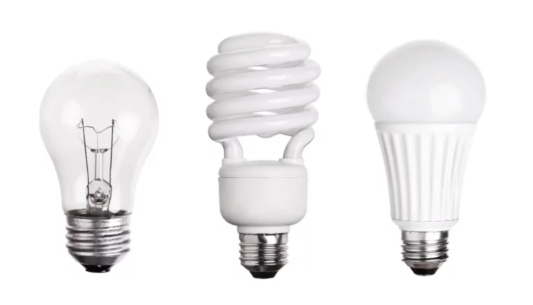 set of Light Bulb LED CFL Fluorescent isolated on white background