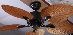 Ceiling Fan Guide