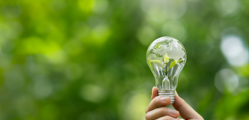 LED Light Bulbs That Reduce Energy Costs