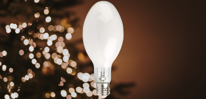 What is meant by Metal Halide Light