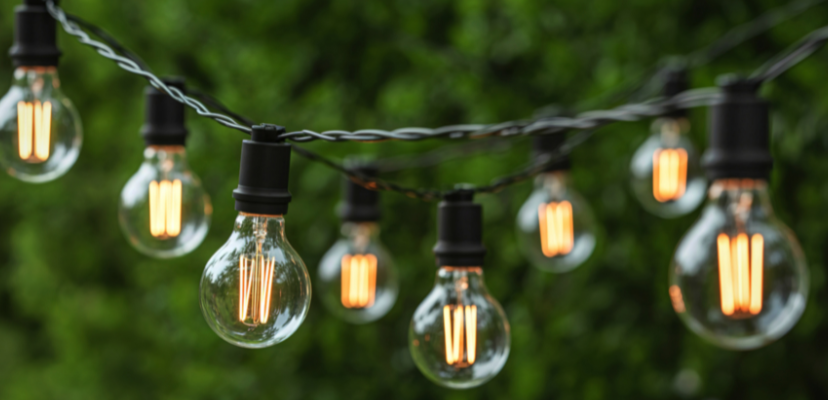 Where can you find Metal Halide Bulbs more commonly